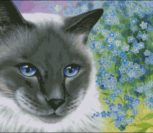Кот и желтая роза Кот и желтая роза