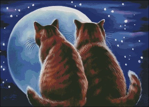 Влюбленные котики