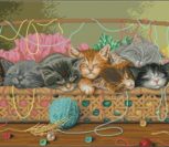 Kitty Litter Kitty Litter