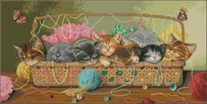 Kitty Litter