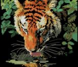 Tiger Reflection Tiger Reflection