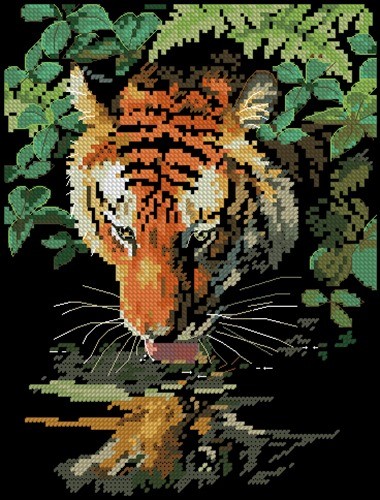 Tiger Reflection