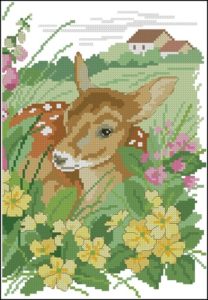 Fawn