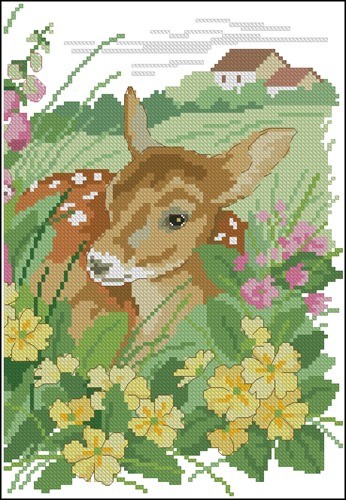 Fawn