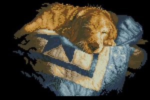 Snooze