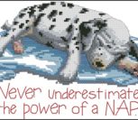 Power Nap Power Nap