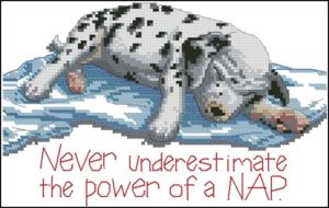 Power Nap Power Nap
