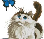 Кошка с бабочкой играет Кошка с бабочкой играет