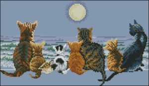 Cats Chorus Cats Chorus