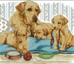Golden Labrador Family Golden Labrador Family