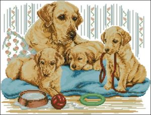 Golden Labrador Family Golden Labrador Family