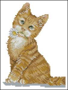 Кошка с ромашкой Кошка с ромашкой
