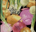 Onions Pillow Onions Pillow