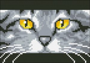 Cat Rectangular Cushion Front Cat Rectangular Cushion Front