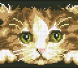 Kitten Rectangular Cushion Kitten Rectangular Cushion