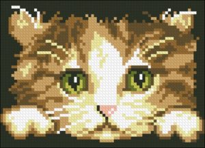 Kitten Rectangular Cushion Kitten Rectangular Cushion