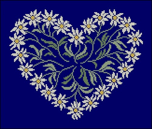 Daisies on Blue Heart