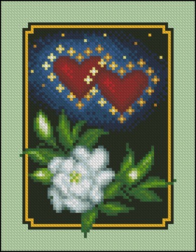 Gardenia for Valentine
