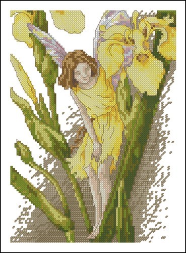 The Iris Fairy