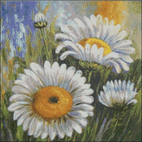 Oil Painting Daisies