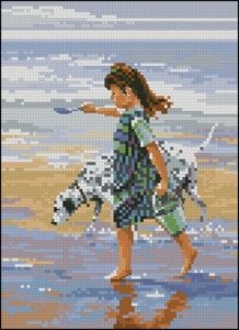 Beach Companiond Beach Companiond