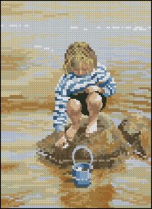The Shell Collector The Shell Collector