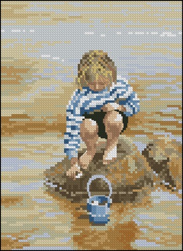 The Shell Collector