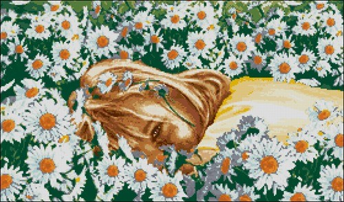 Daisy Fairy