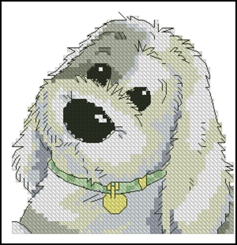 Fluffy Puppy Portrait