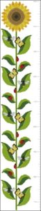 Sunflower Heightchart