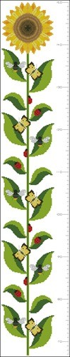 Sunflower Heightchart