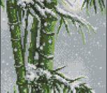 BG Bamboo BG Bamboo