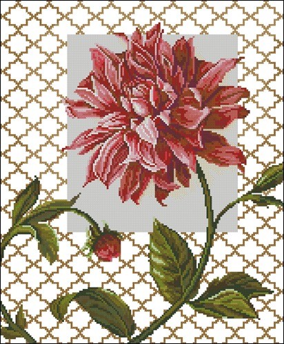 ZR IL-003 Dahlia Bloom