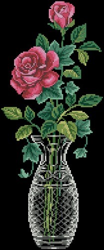Rose on black