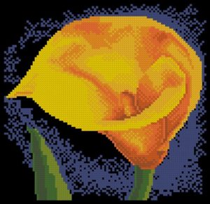 Golden Calla Lily Golden Calla Lily
