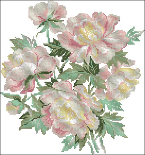 Peony