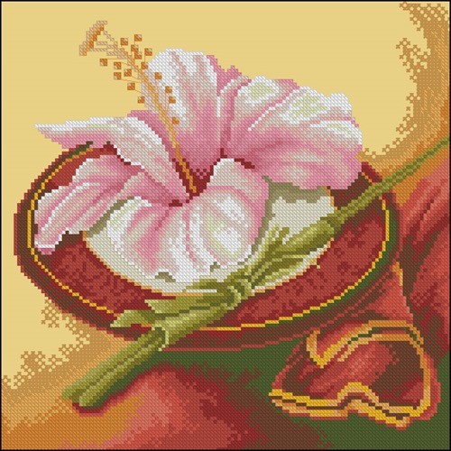Pink Hibiscus on a Dish