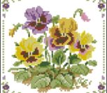 Bordered Pansies Bordered Pansies