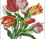 Tulips Tulips