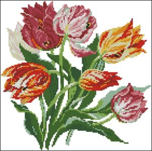 Tulips Tulips