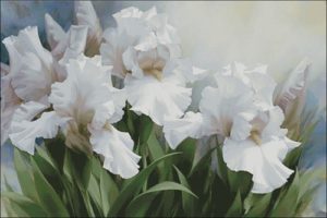 White Irises by Igor Levashov White Irises by Igor Levashov