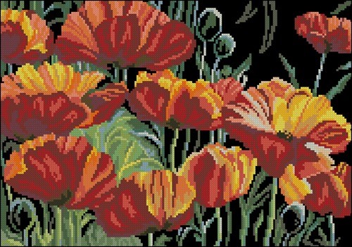 Gorgeous Poppies