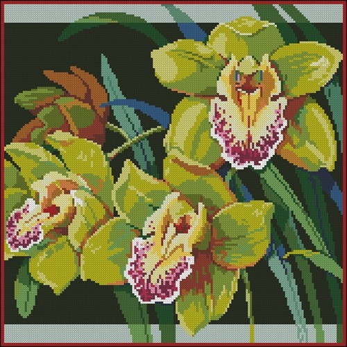 Orchids
