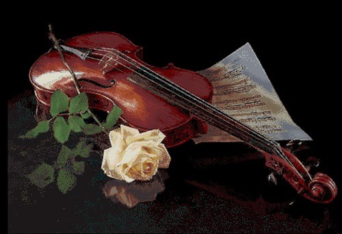 Violin and White Rose Still Life