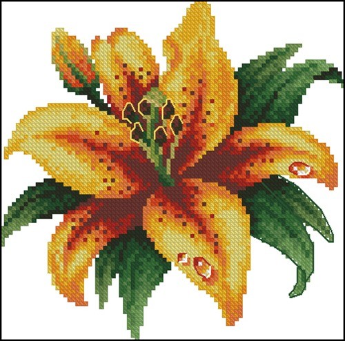 Yellow Lily