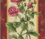 Rose Splendor Rose Splendor