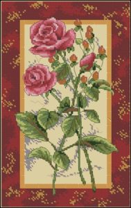 Rose Splendor Rose Splendor