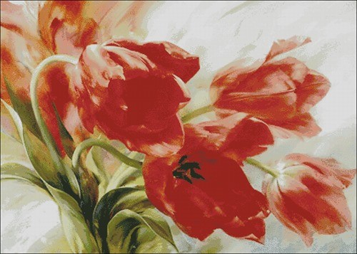 Red tulips