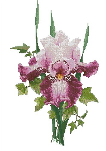 Iris and Ivy Bouquet