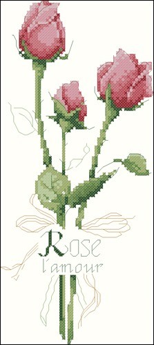 Rose of Love